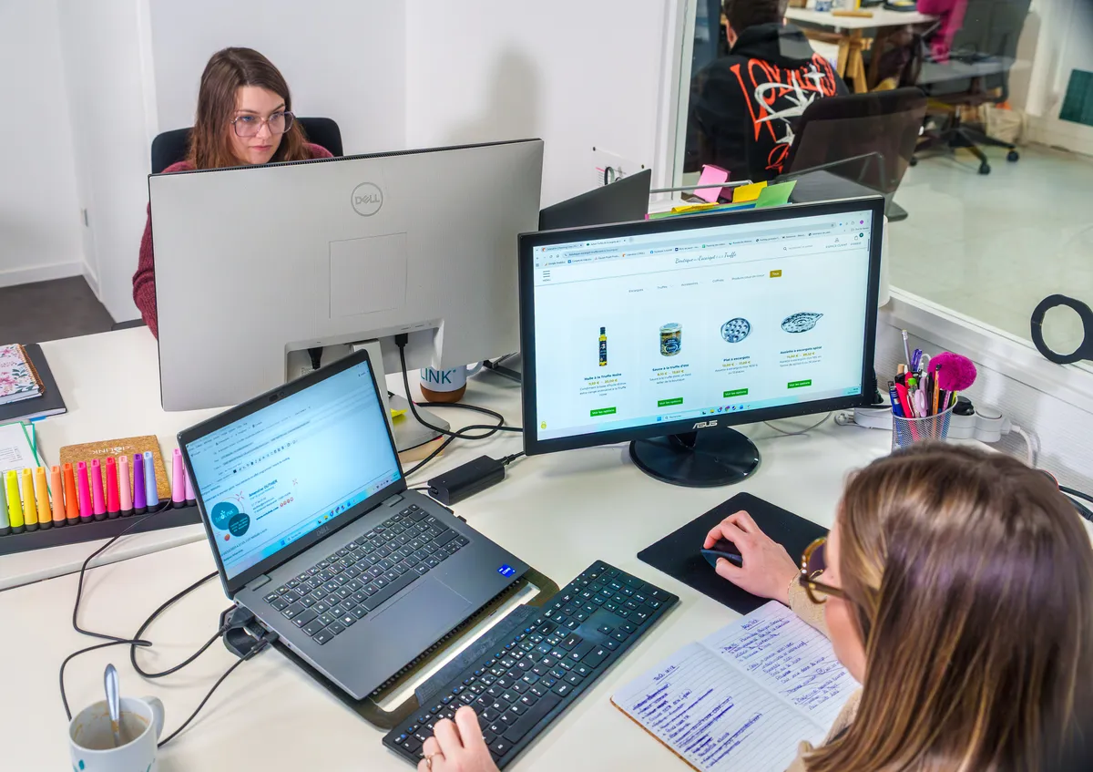Suivi d'une boutique en ligne client par l'équipe webmarketing EcloLINK depuis leur bureau partagé
