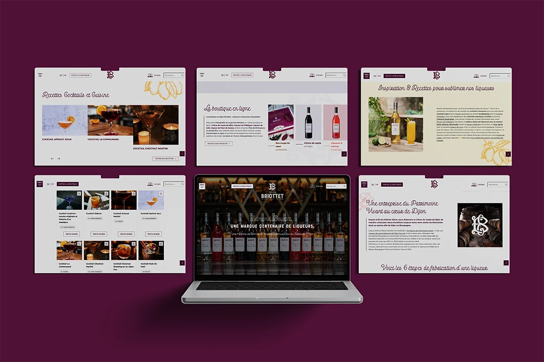 Site Mockup Briottet V3