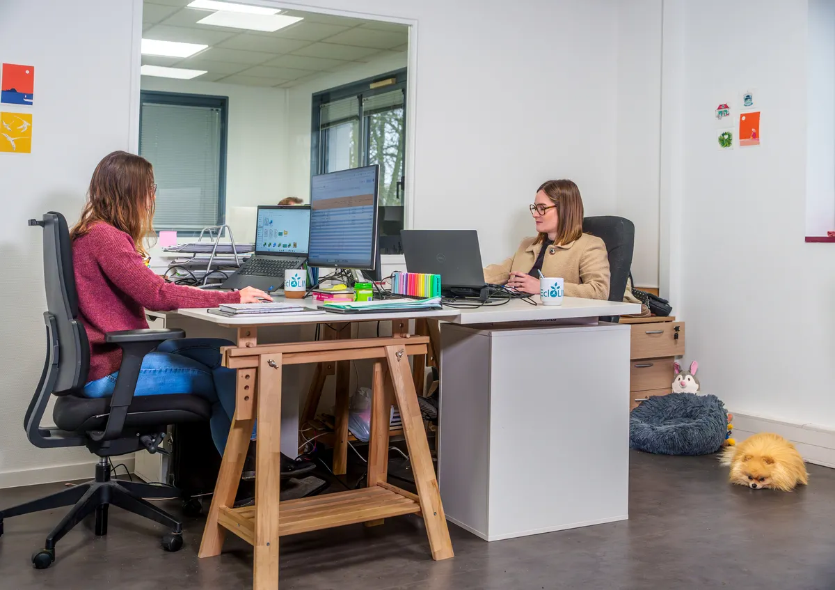 Deux collaboratrices EcloLINK échangeant à leur bureau partagé dans une ambiance conviviale et pet-friendly