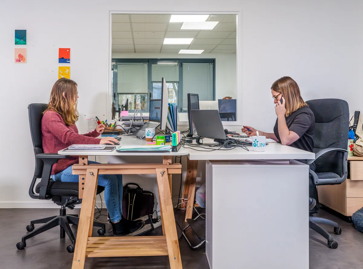 Deux collaboratrices EcloLINK travaillant en face à face dans les bureaux de l'agence, mugs EcloLINK sur le bureau