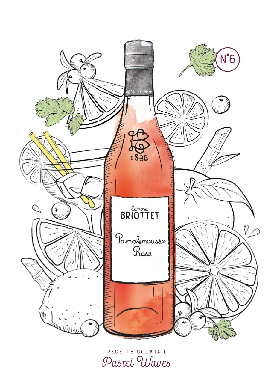 Illustration Briottet (2)