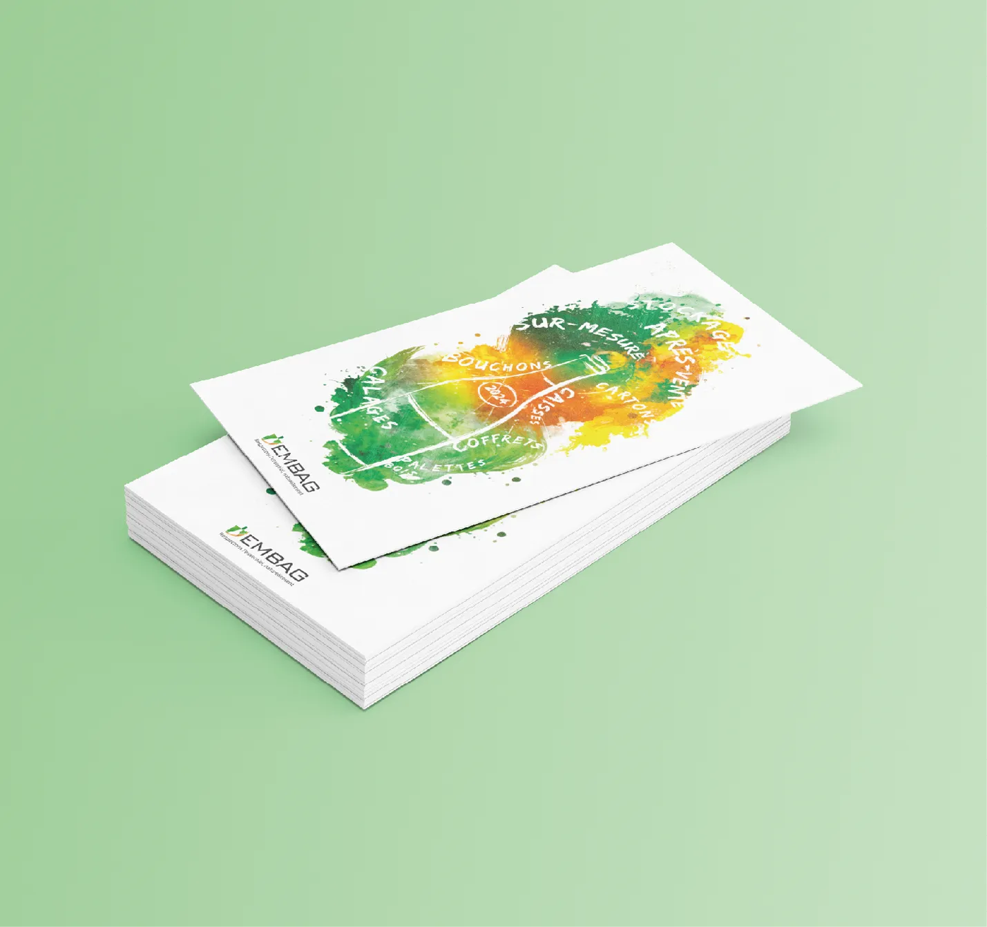 Identite Graphique Embag (3)