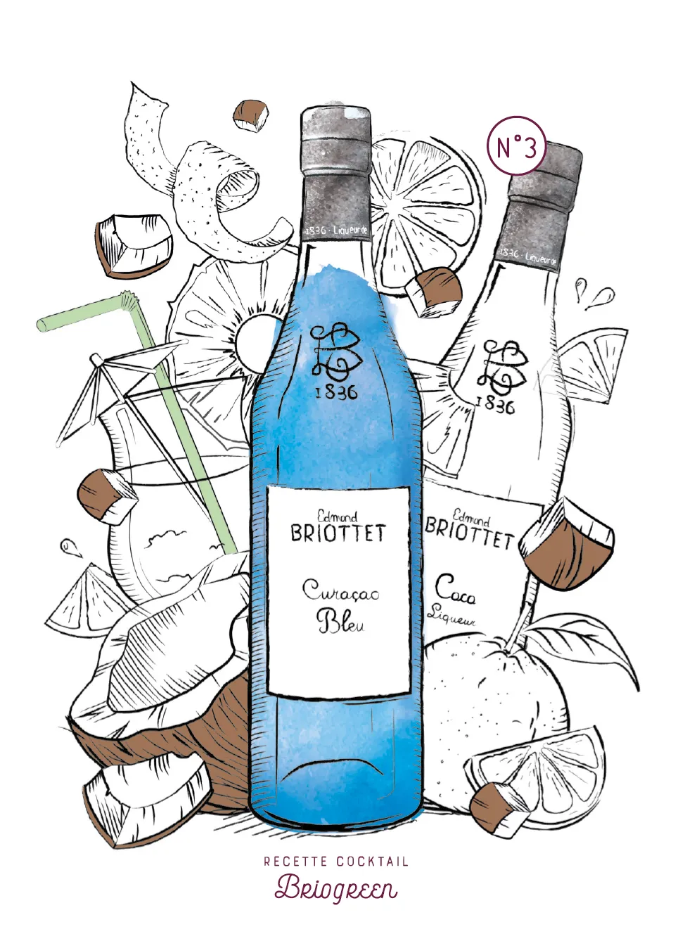 Illustration Briottet (3)