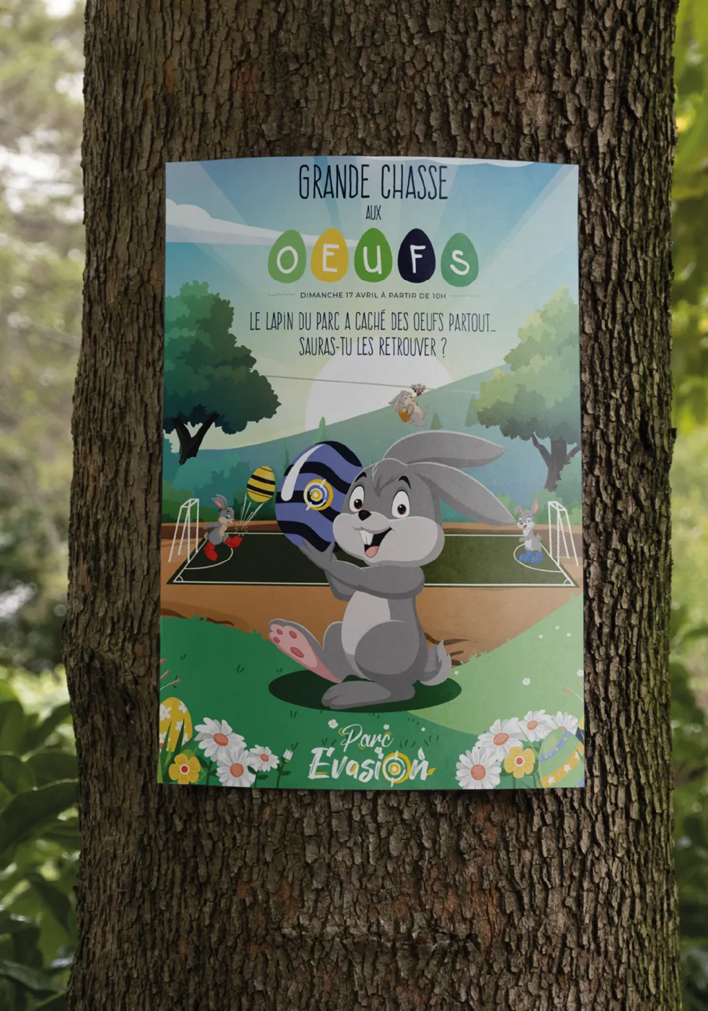 Identite Graphique Parc Evasion (3)