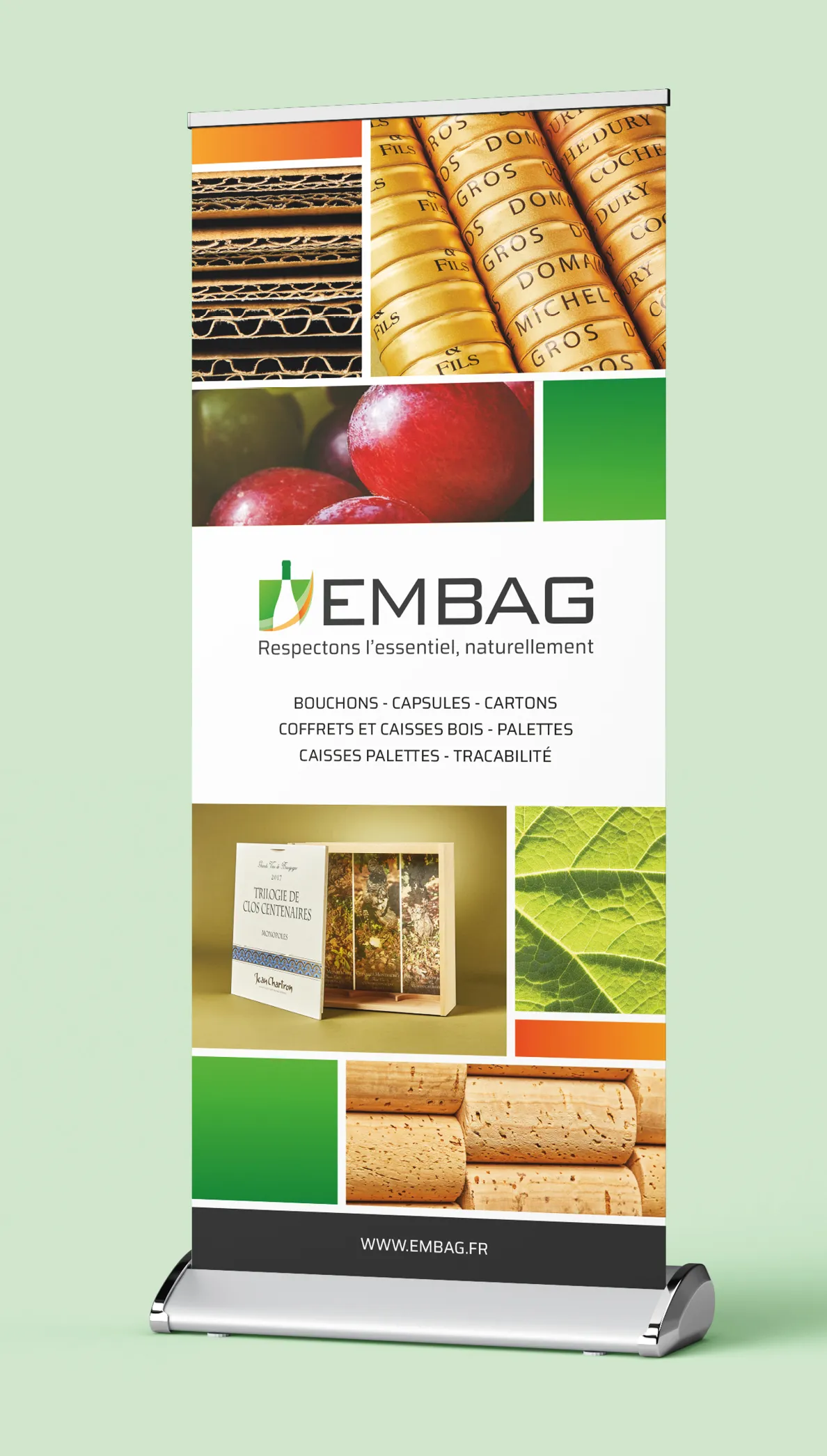 Identite Graphique Embag (2)