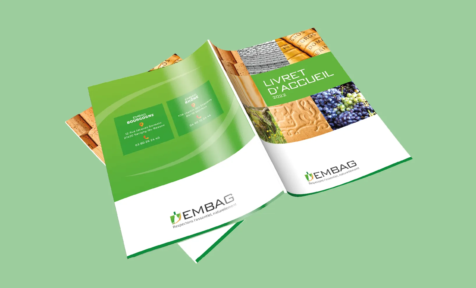 Identite Graphique Embag (1)