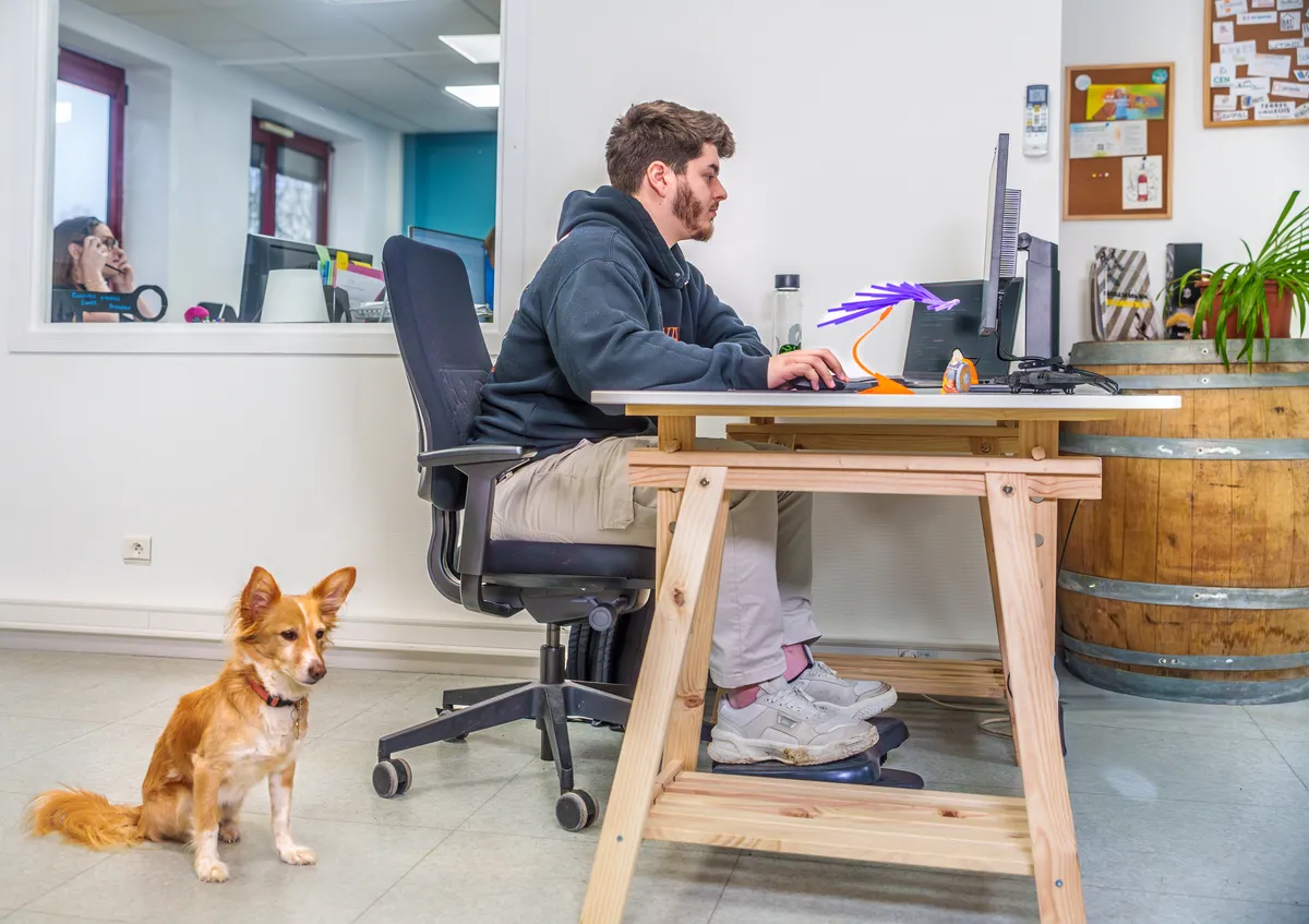 Développeur web au travail dans les bureaux EcloLINK, ambiance conviviale avec un chien de l'équipe à ses côtés