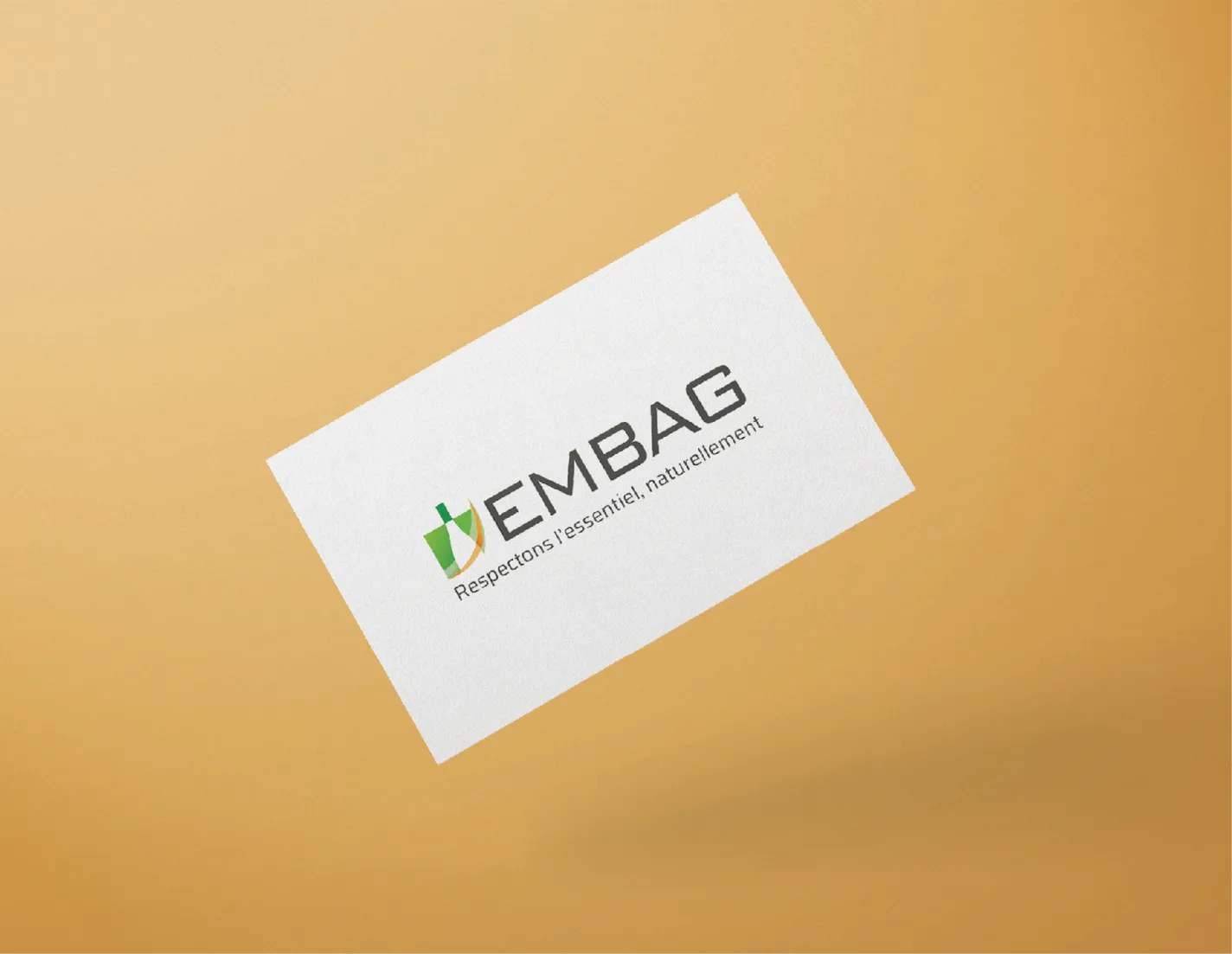 Identité Graphique EMBAG