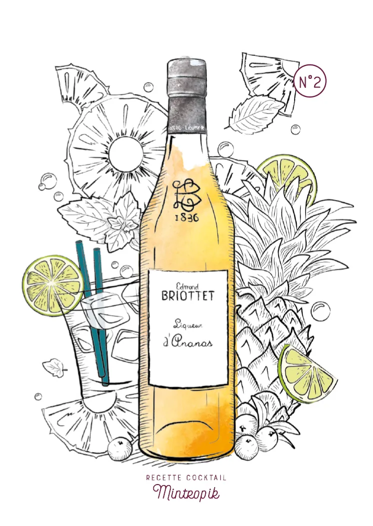 Illustration Briottet (5)