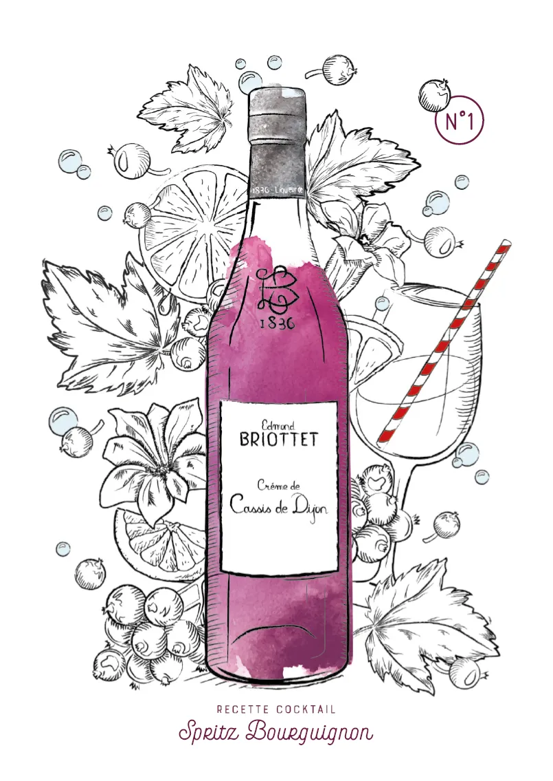 Illustration Briottet (7)