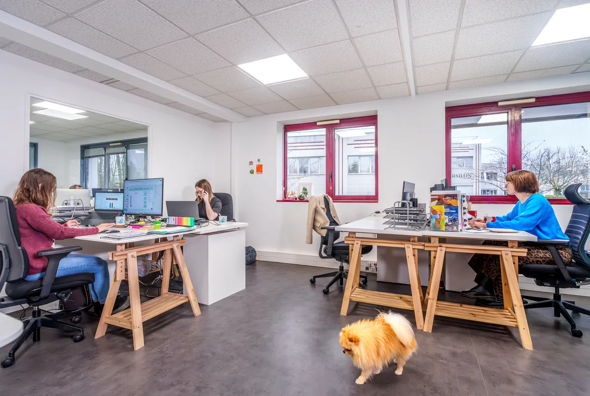Ambiance conviviale et pet-friendly dans les bureaux de l'agence EcloLINK avec l'équipe au travail