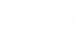 Logo Didier Express et Pneu