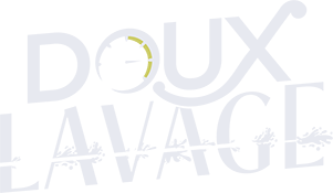 Logo Doux Lavage - EcloLINK