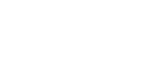 Logo Reine de Dijon - Réalisations EcloLINK